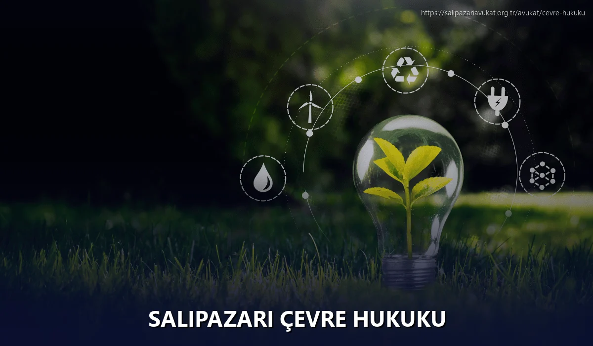 Salıpazarı Çevre Hukuku